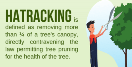 Hat-Racking Definition