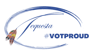 VOTPROUD_FINAL Logo(2)